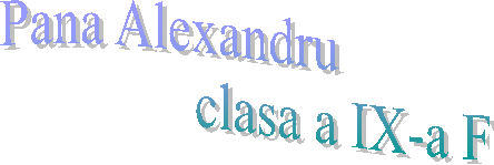  Pana Alexandru 
 clasa a IX-a F 