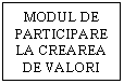 Text Box: MODUL DE PARTICIPARE LA CREAREA DE VALORI