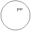 Oval:         pac