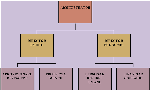 Organization Chart