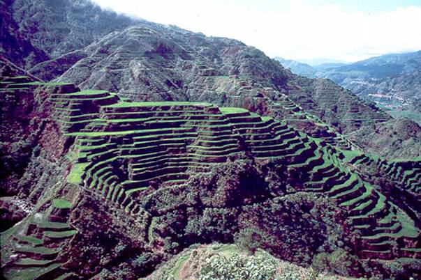 File:Rice terraces.png