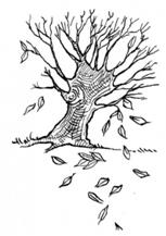 https://www.edupics.com/tree-autumn-leaves-t7581.jpg
