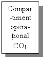 Text Box: Compar-timent opera-tional 
CO1
