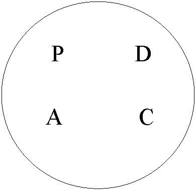 Oval: P D


 A C 

