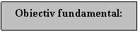 Text Box: Obiectiv fundamental: