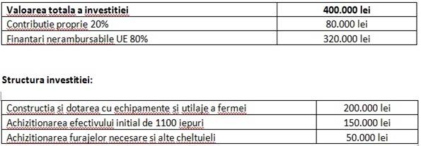 costuri pentru inceputul afacerii si capitalizare