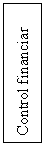 Text Box: Control financiar intern