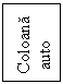 Text Box: Coloana
 auto

