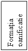 Text Box: Formatia
panificatie nr.2
