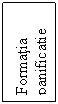 Text Box: Formatia
panificatie nr.1
