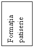 Text Box: Formatia
patiserie
