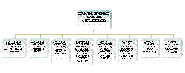 Organization Chart