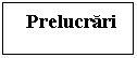 Text Box:  Prelucrari