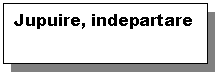 Text Box: Jupuire, indepartare par

