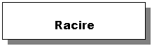 Text Box:             Racire