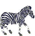 jozebra.gif