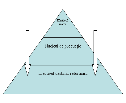 Pyramid Diagram