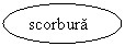 Oval: scorbura