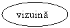 Oval: vizuinaaaa