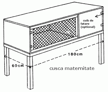 custi iepuri