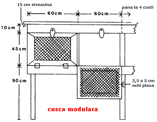 custi iepuri