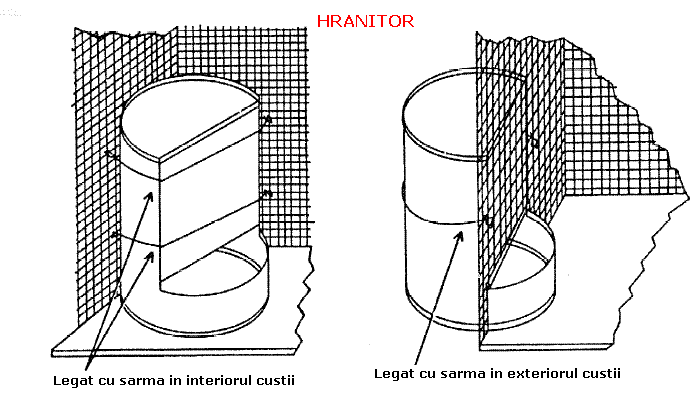 custi iepuri