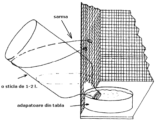 custi iepuri