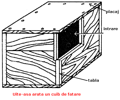 custi iepuri