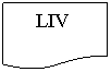 Flowchart: Document:     LIV