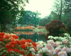 planul_Exbury_Garden_6_lac