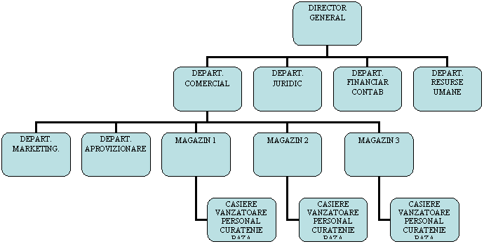 Organization Chart