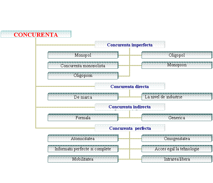 Organization Chart