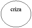 Oval: criza