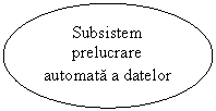 Oval: Subsistem prelucrare automata a datelor