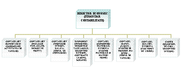 Organization Chart