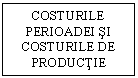 Text Box: COSTURILE PERIOADEI SI COSTURILE DE PRODUCTIE