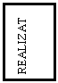 Text Box: REALIZAT