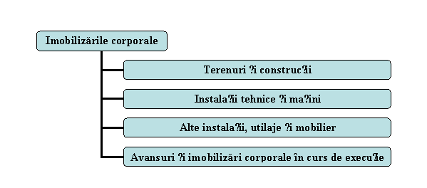 Organization Chart