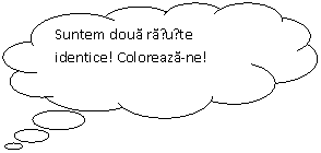 Cloud Callout: Suntem doua rațuște identice! Coloreaza-ne!