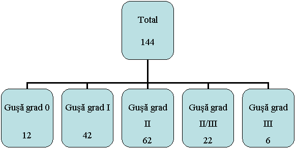 Organization Chart