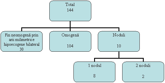 Organization Chart