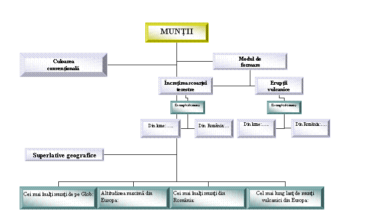 Organization Chart