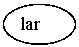 Oval: lar