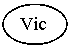 Oval: Vic