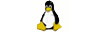 Accesibiltate Linux