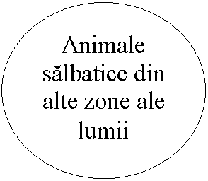 Oval: Animale salbatice din alte zone ale lumii