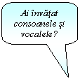 Rounded Rectangular Callout: Ai invatat consoanele si vocalele?