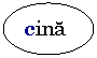 Oval: cina