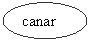 Oval: canar