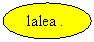 Oval:  lalea .